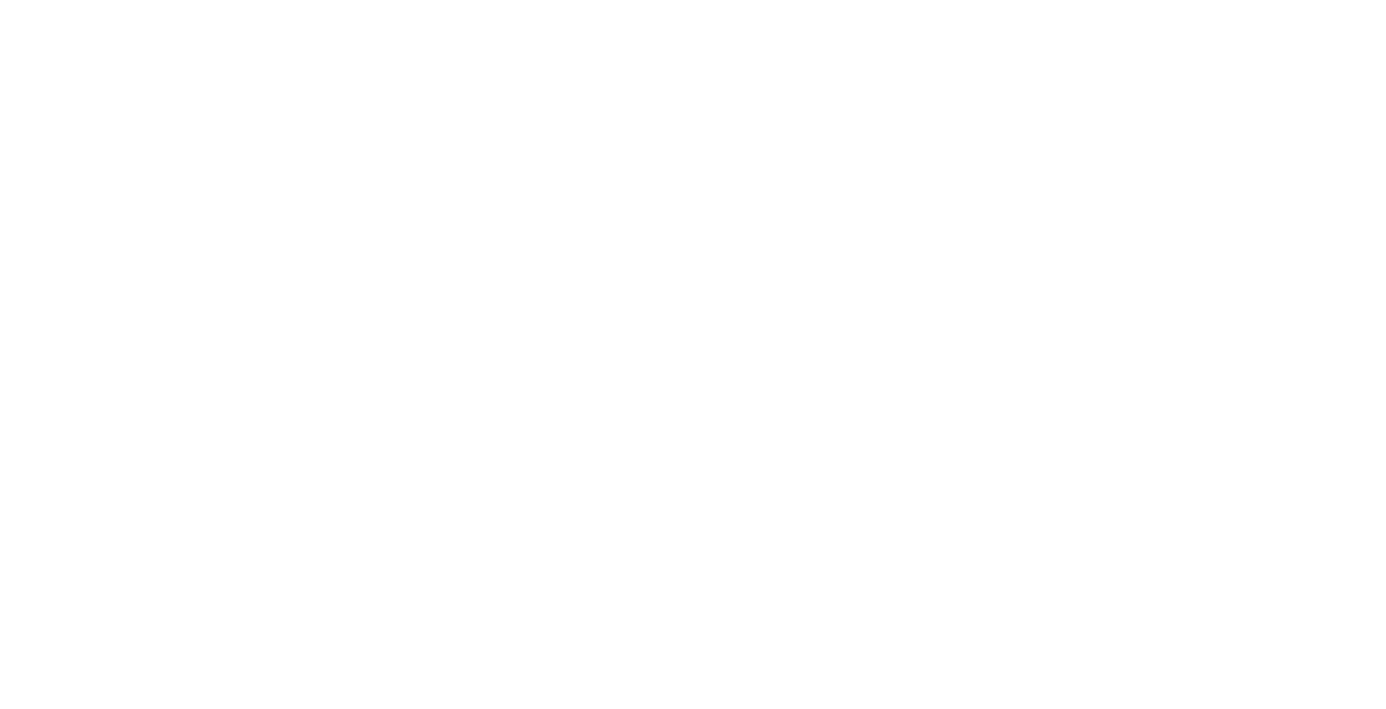 Salla Logo